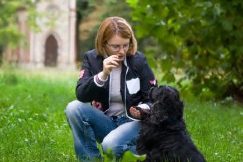 DogTraining