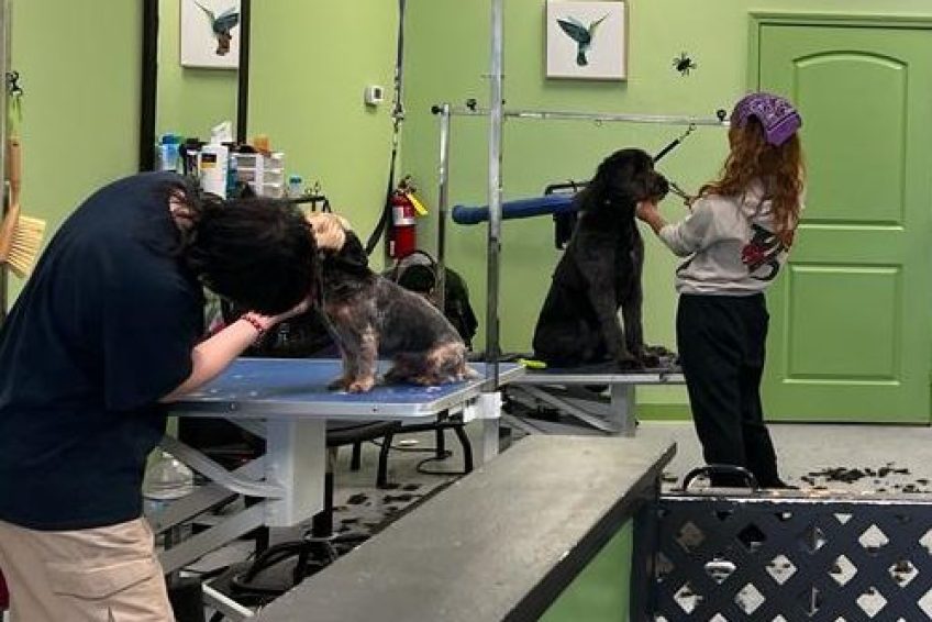 Photo_-----_