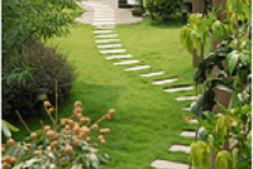 Landscaping