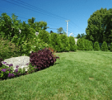 Landscaping-(png) - Copy
