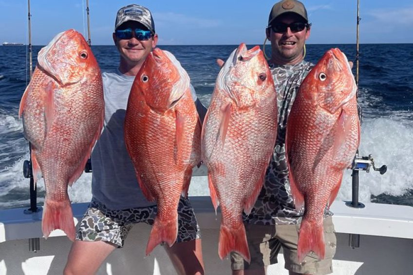 bottom-fishing-charters