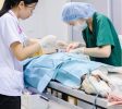 VeterinaryHospitals