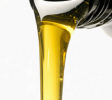 AutoRepairs-Services- - Copy