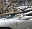 InsuranceAgencies