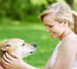 DogTraining