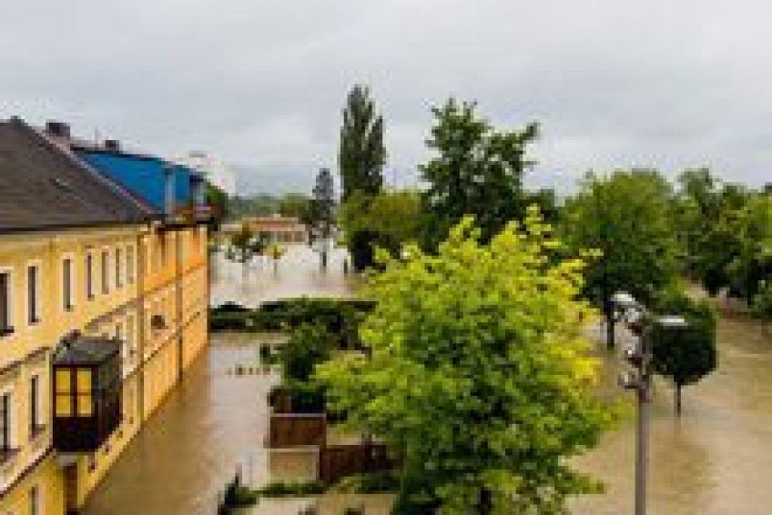 InsuranceServices