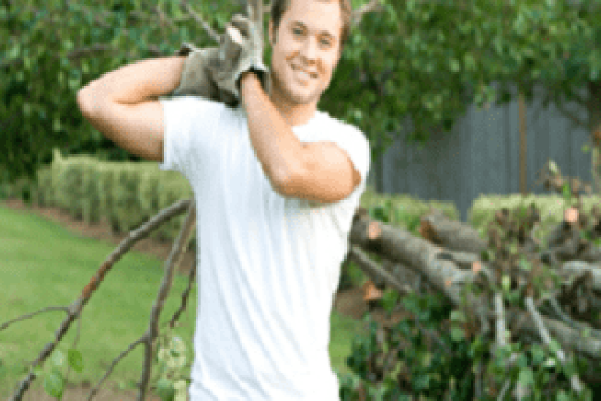 TreeTrimming- png