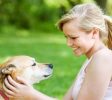 DogTraining