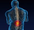 Chiropractor