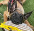 Photo_-----_