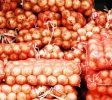 AgriculturalSupplyCompanies