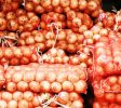 AgriculturalSupplyCompanies