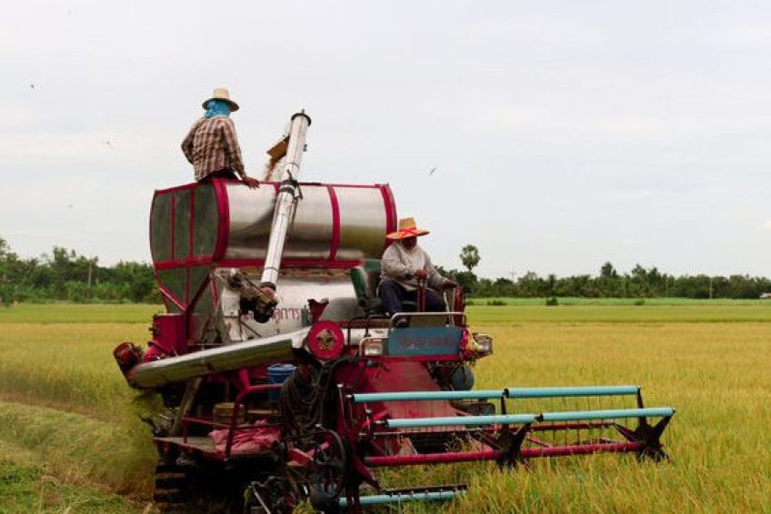 AgriculturalSupplyCompanies