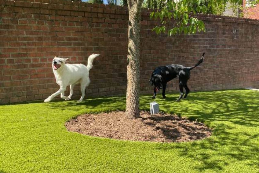 Artificial Grass Installation Scottsdale