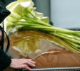 FuneralHome
