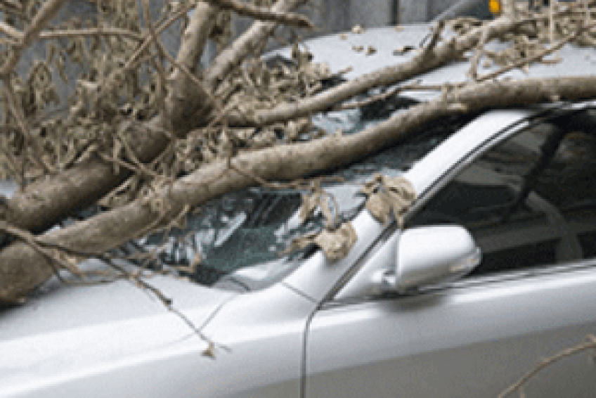 InsuranceAgencies- - Copy