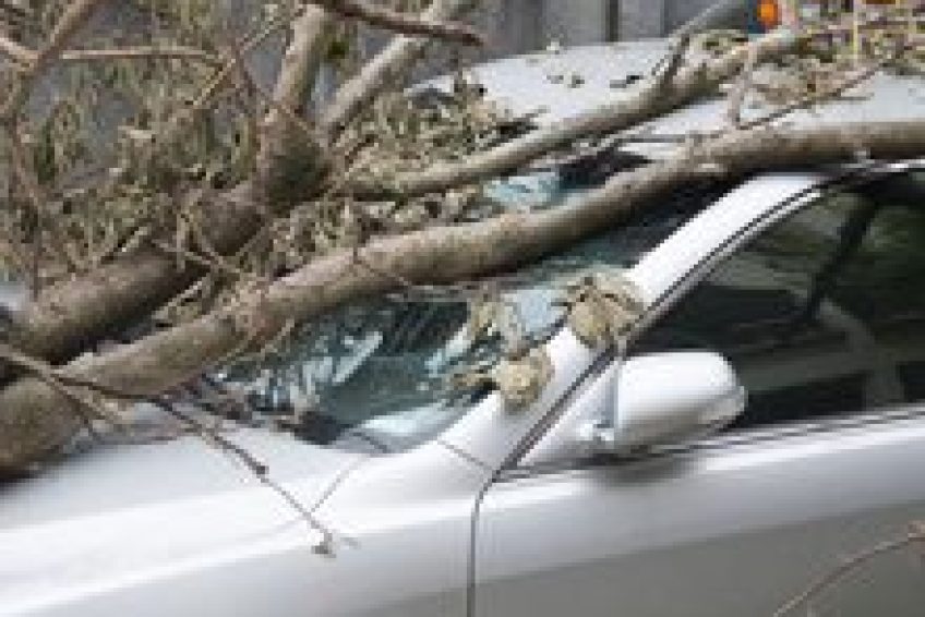 InsuranceAgencies- - Copy