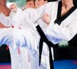 MartialArtsStudios