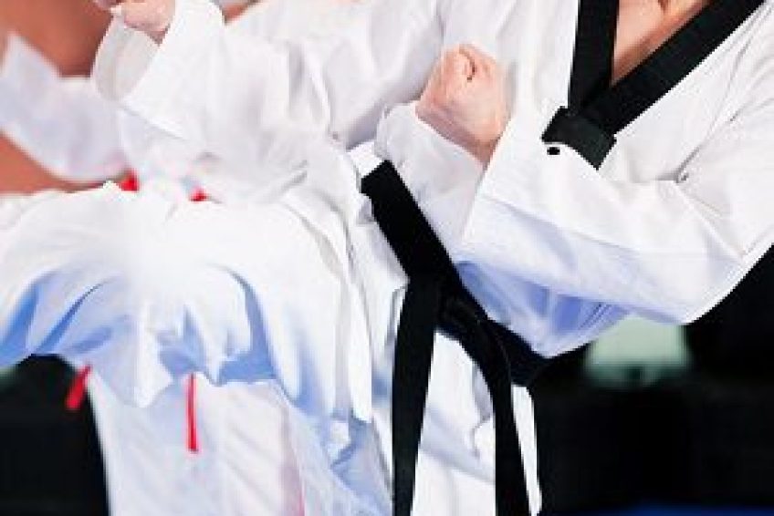MartialArtsStudios