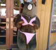 Photo_-----_