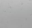 Photo_-----_