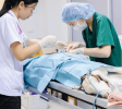 VeterinaryHospitals