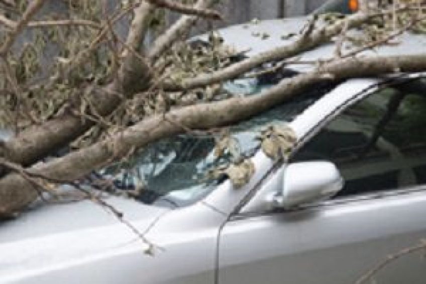 InsuranceAgencies