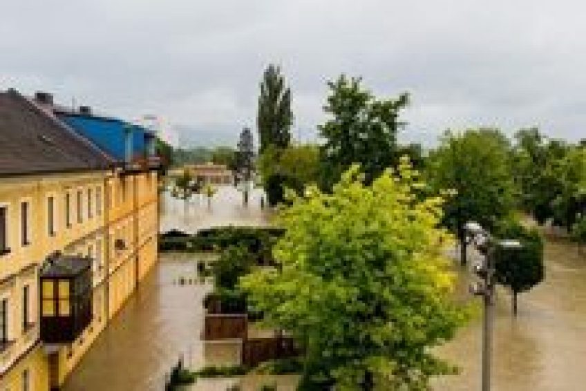 InsuranceServices