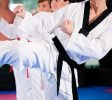 MartialArtsStudios