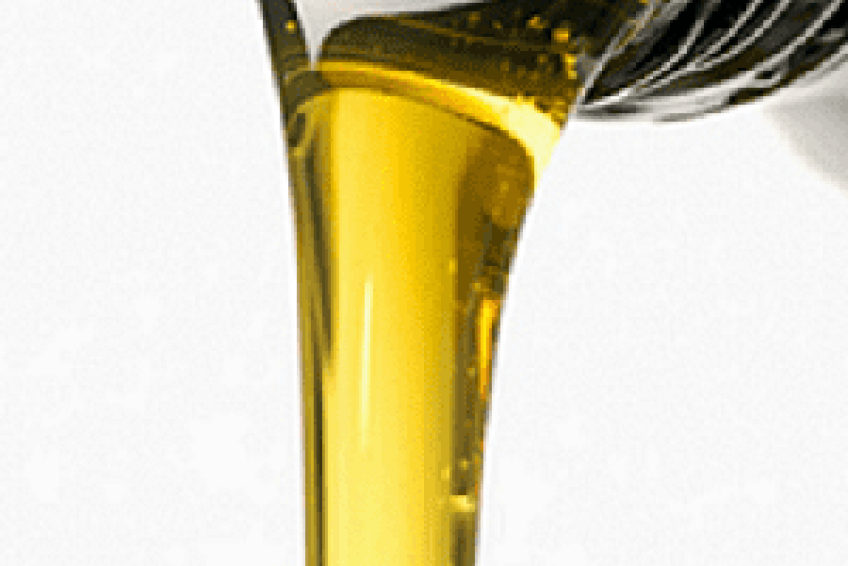 AutoRepairs-Services- - Copy