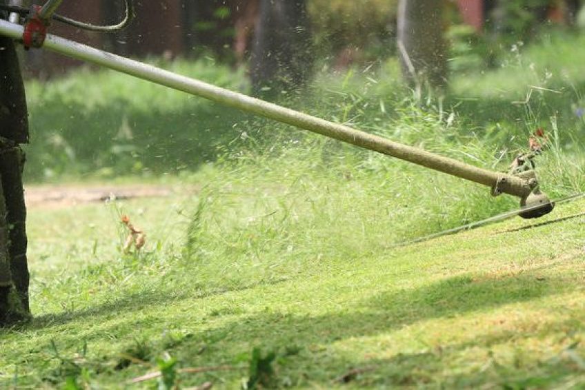 LawnMaintenanceCompanies