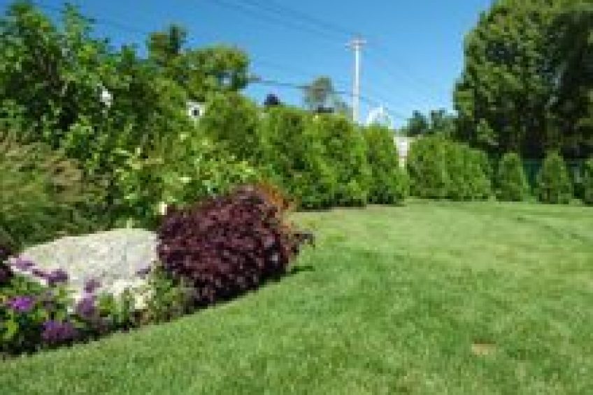 Landscaping