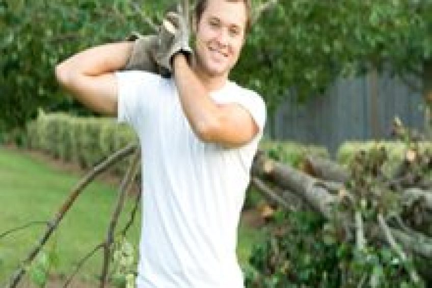 TreeTrimming