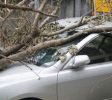 InsuranceServices