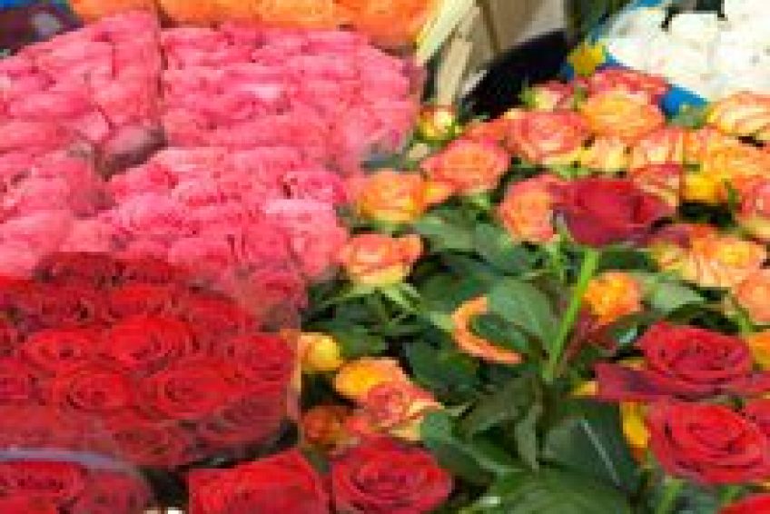 Florist