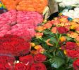 Florist