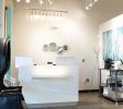 artisan-hair-cary-hair-transformation